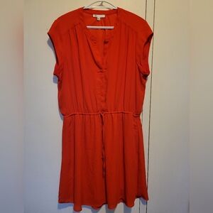 Summery Shift Dress